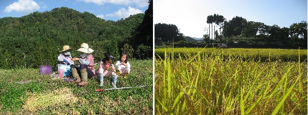 有限会社富樫技建